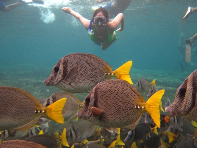  exotic fish 